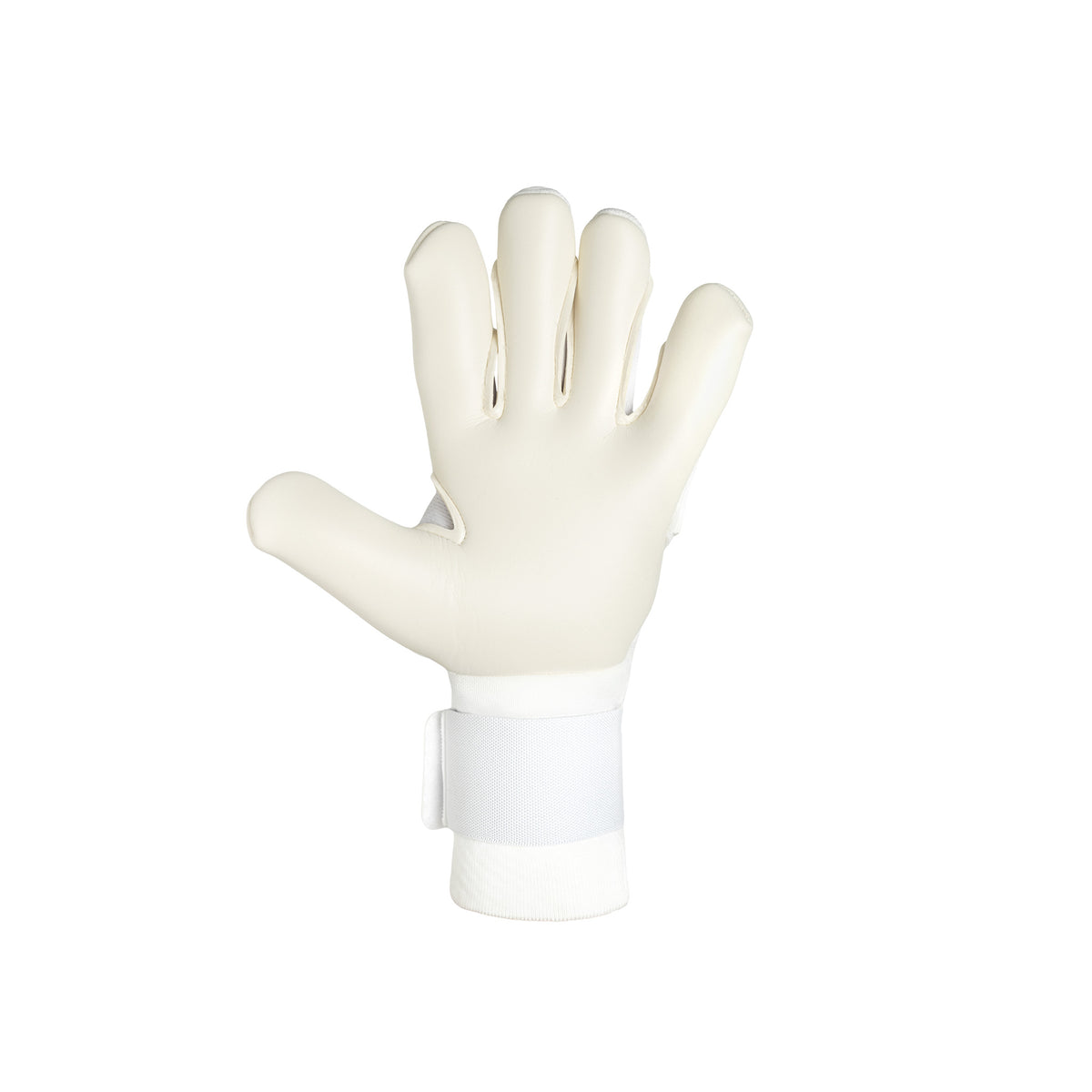 W1 Whiteflow